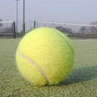 инвентарь – теннисный мяч
