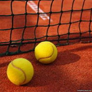 теннисные мячи wilson